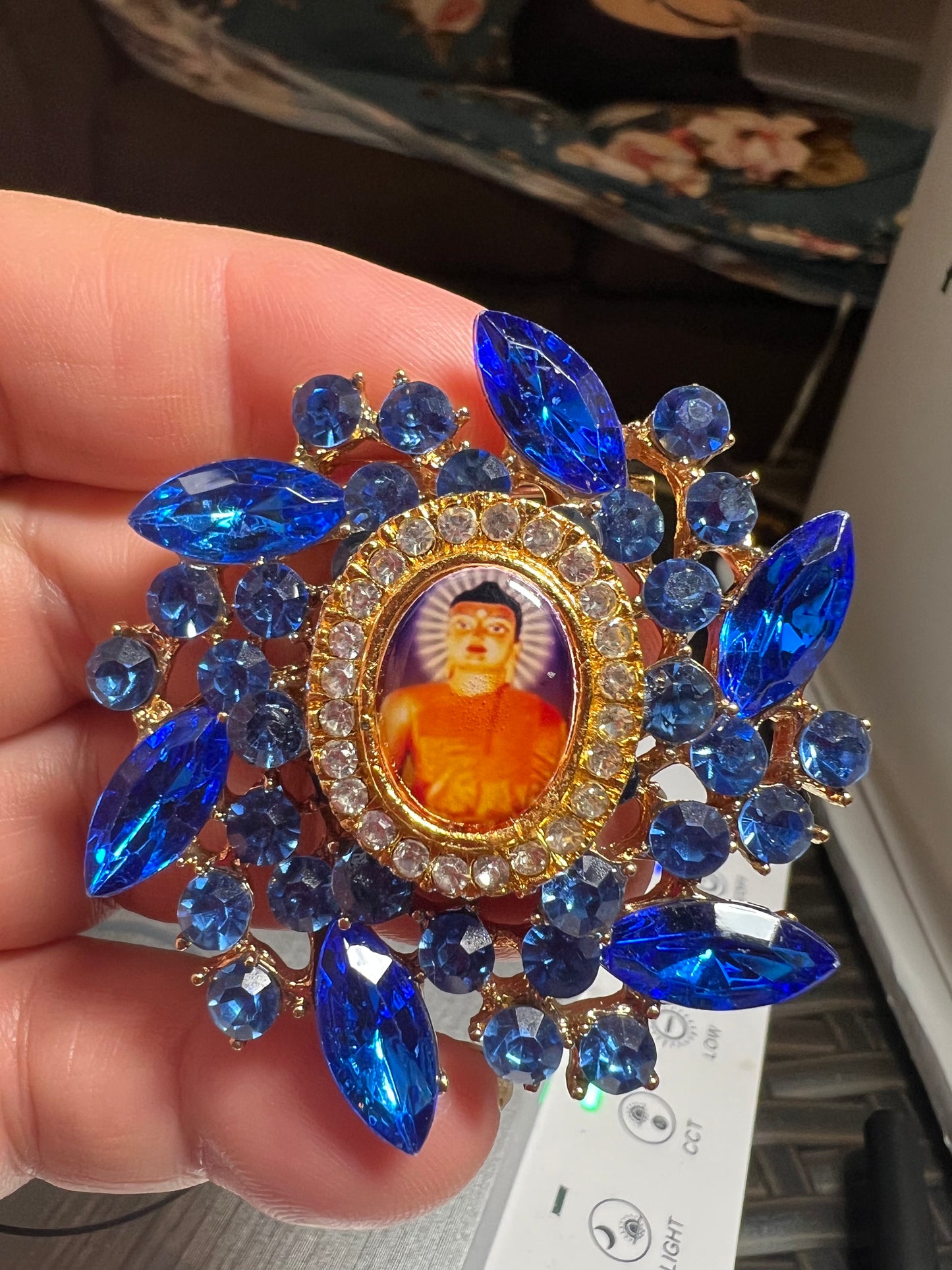 Morning Glory Flower